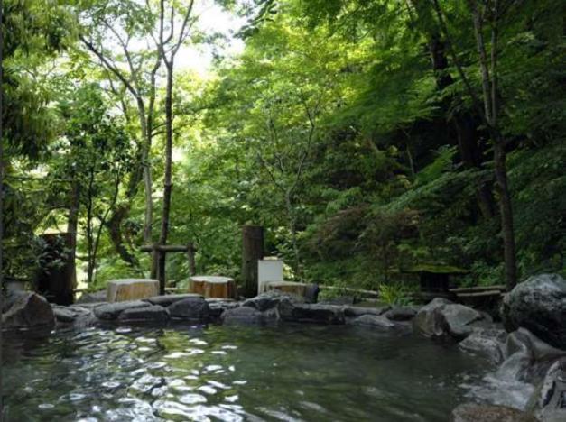 Hotel Nanpuso Hakone Luaran gambar